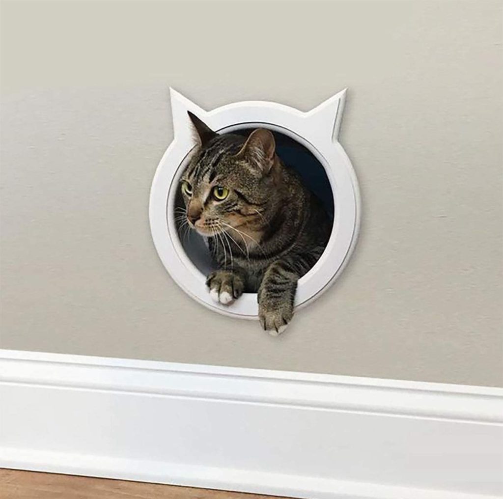 cat wall door