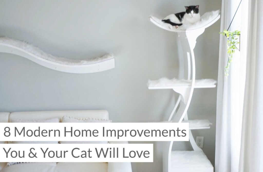Modern cat furniture next to a white sofa in a bright living room. Text: 8 home improvements your cat will love—and so will you.