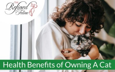 Health Benefits of Owning A Cat: 5 Amazing Reasons To Get A Cat