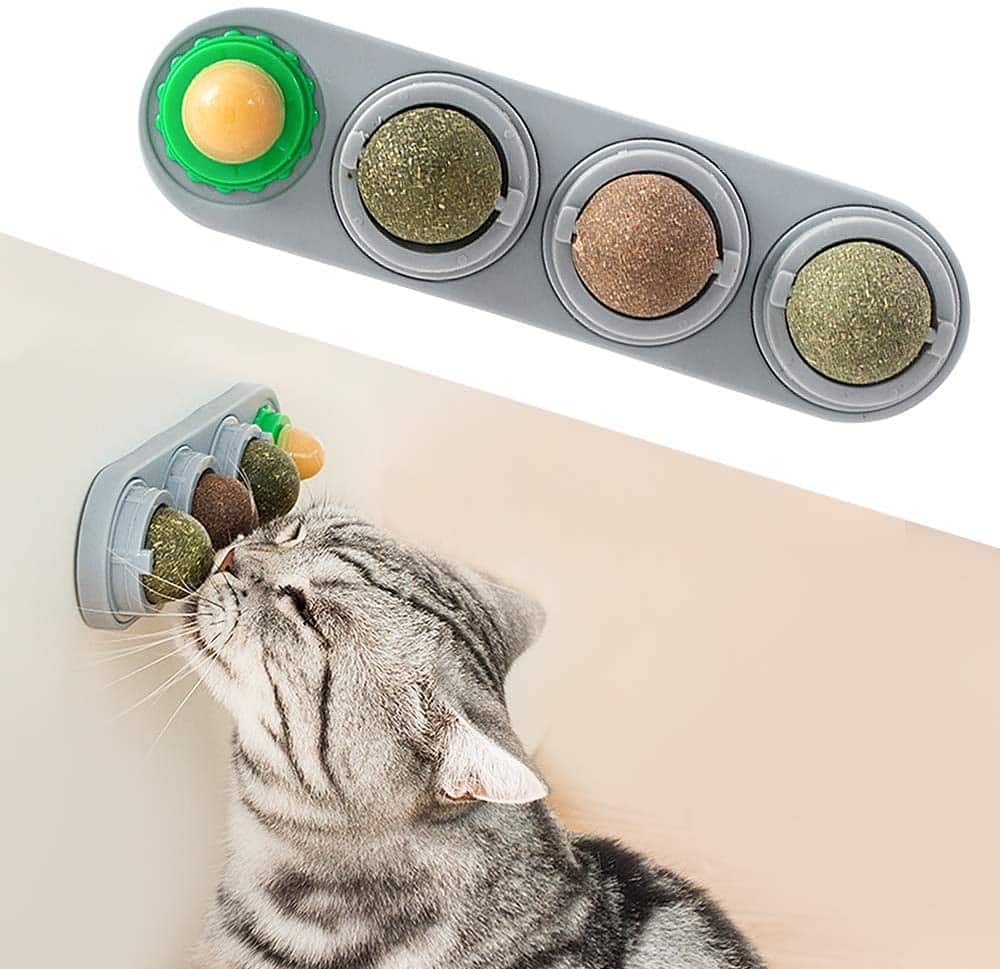 Catnip Wall Balls