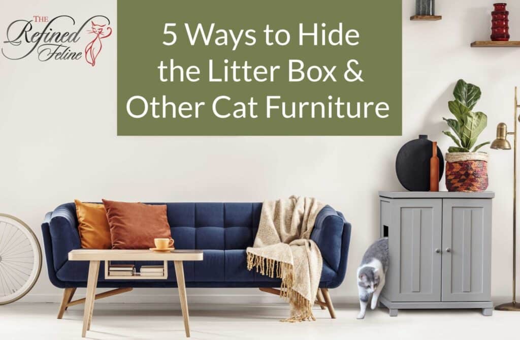 Hide The Litter Box