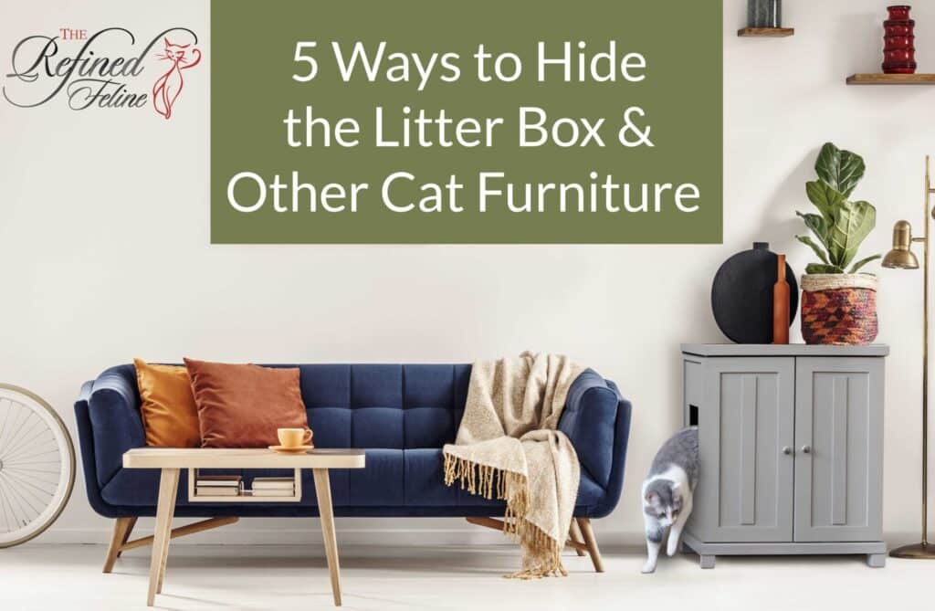 Modern living room with a blue sofa, coffee table, gray Hide The Litter Box cabinet, and a cat entering the cabinet.
