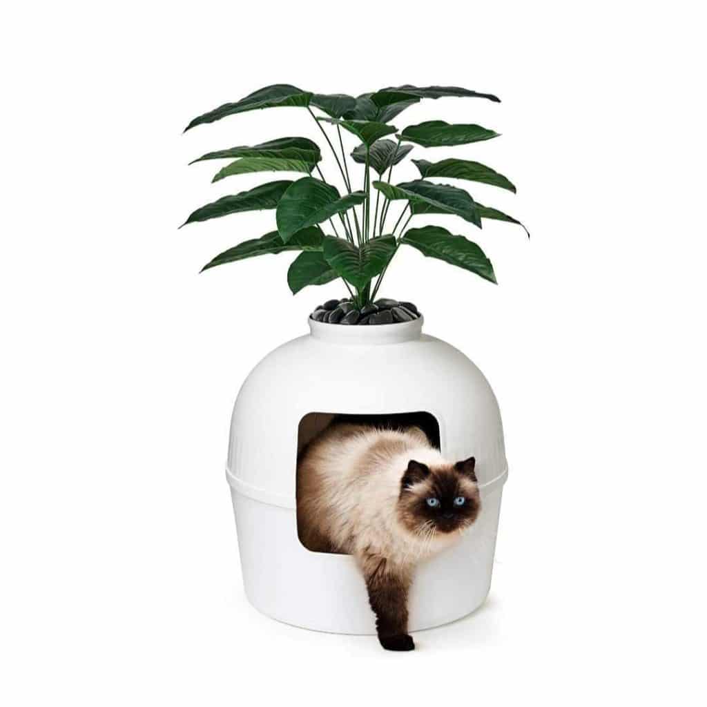 Litter Box Planter