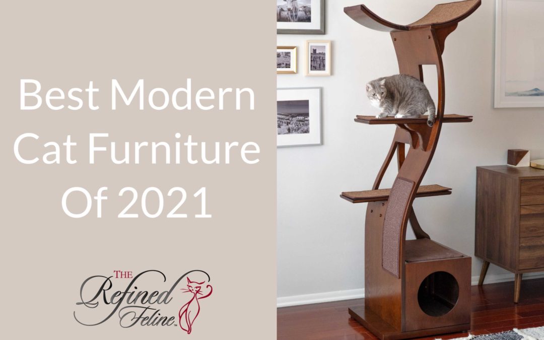 Best Modern Cat Furniture of 2021 From The Refined Feline