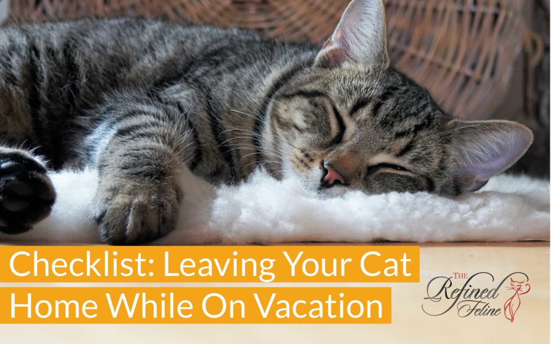 Checklist For Leaving Your Cat Home While On Vacation