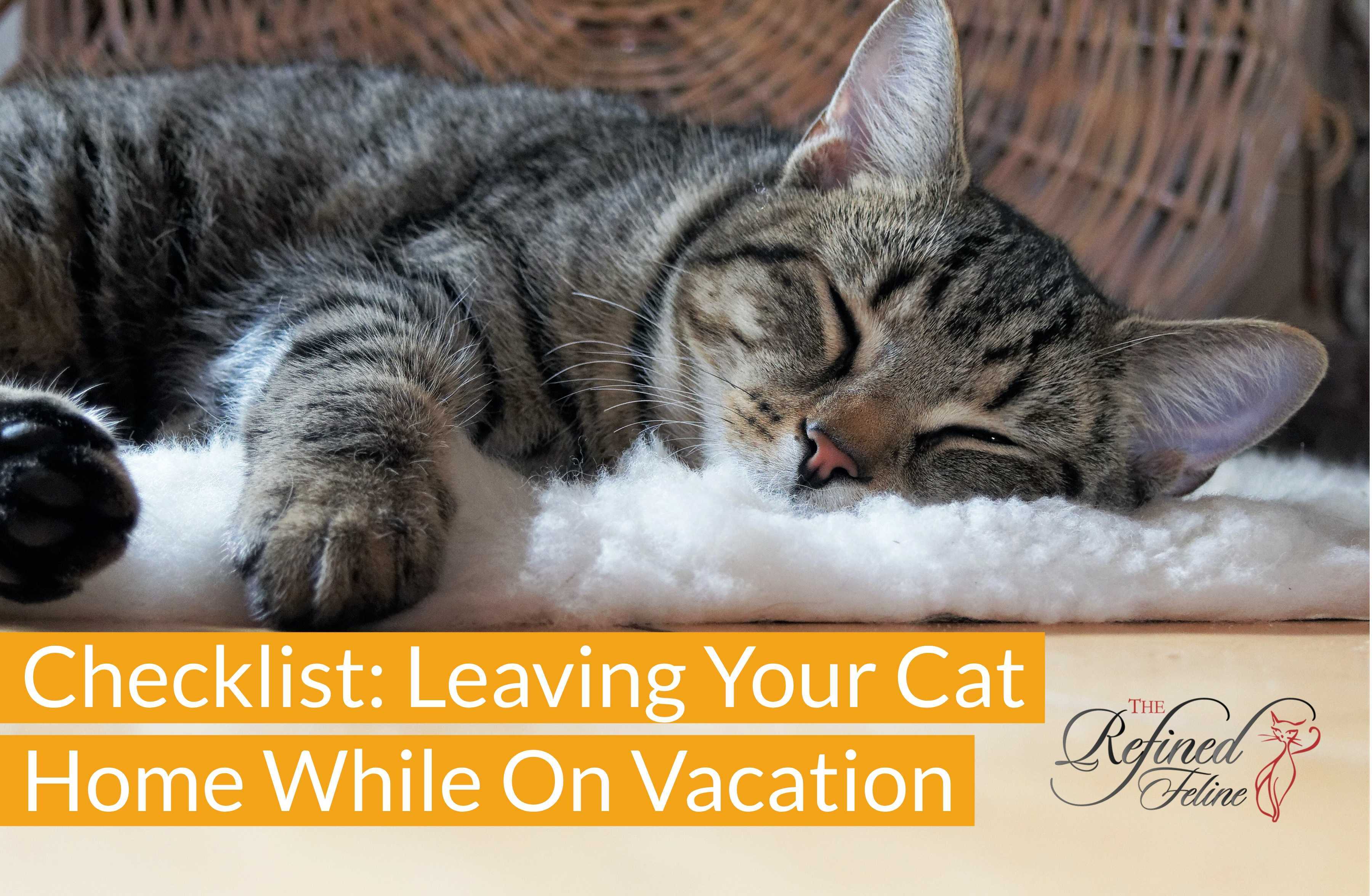 Checklist For Leaving Your Cat Home While On Vacation - The Refined Feline