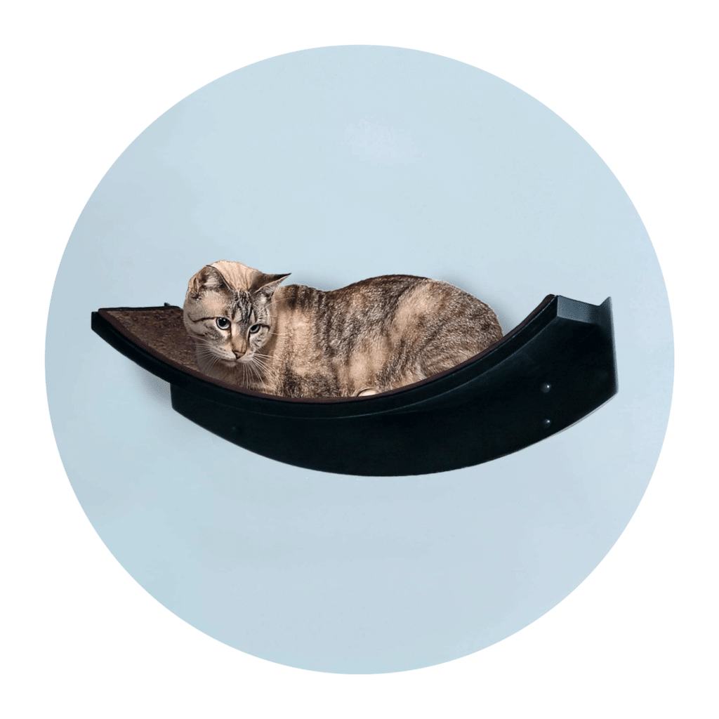 Lotus Leaf Espresso 4mp