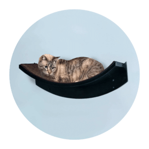 Lotus Leaf Espresso 4mp