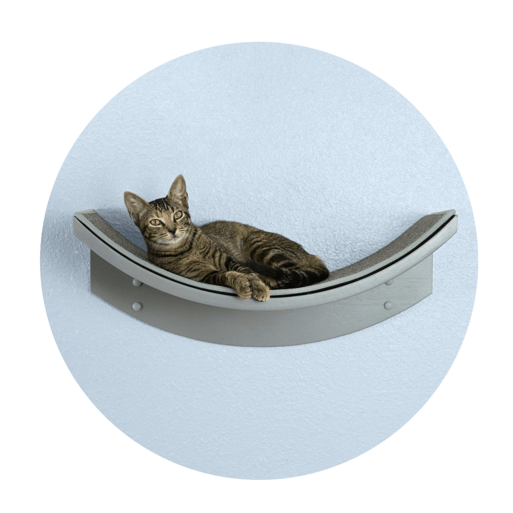 Lotus Leaf Smoke 4mp