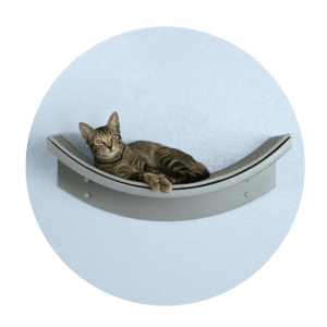 Lotus Leaf Smoke 4mp