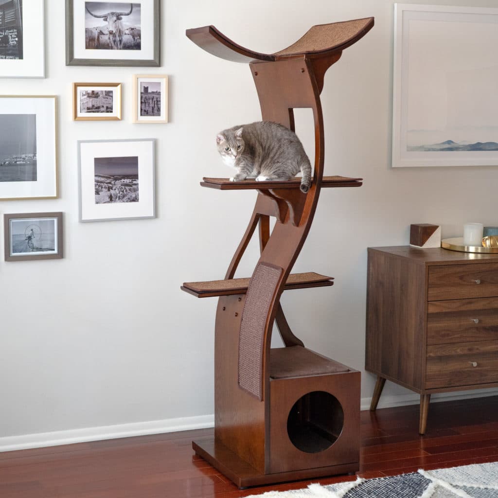 Gray cat rests on a Lotus Cat Tower Mahogany in a living room with framed photos and a wooden dresser.