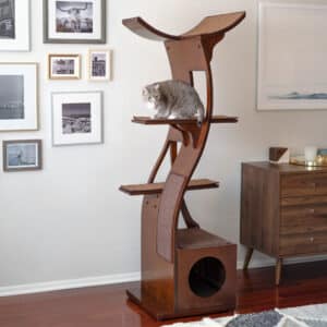 Gray cat rests on a Lotus Cat Tower Mahogany in a living room with framed photos and a wooden dresser.