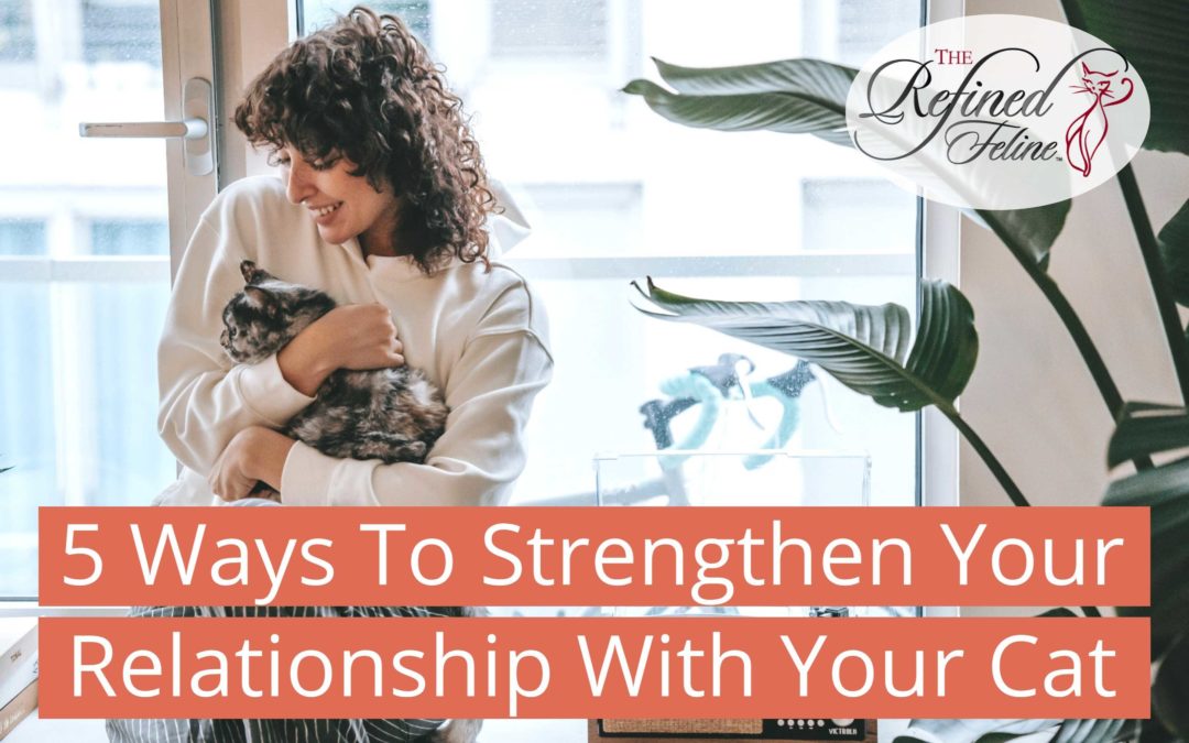 5 Ways To Strengthen Your Relationship With Your Cat