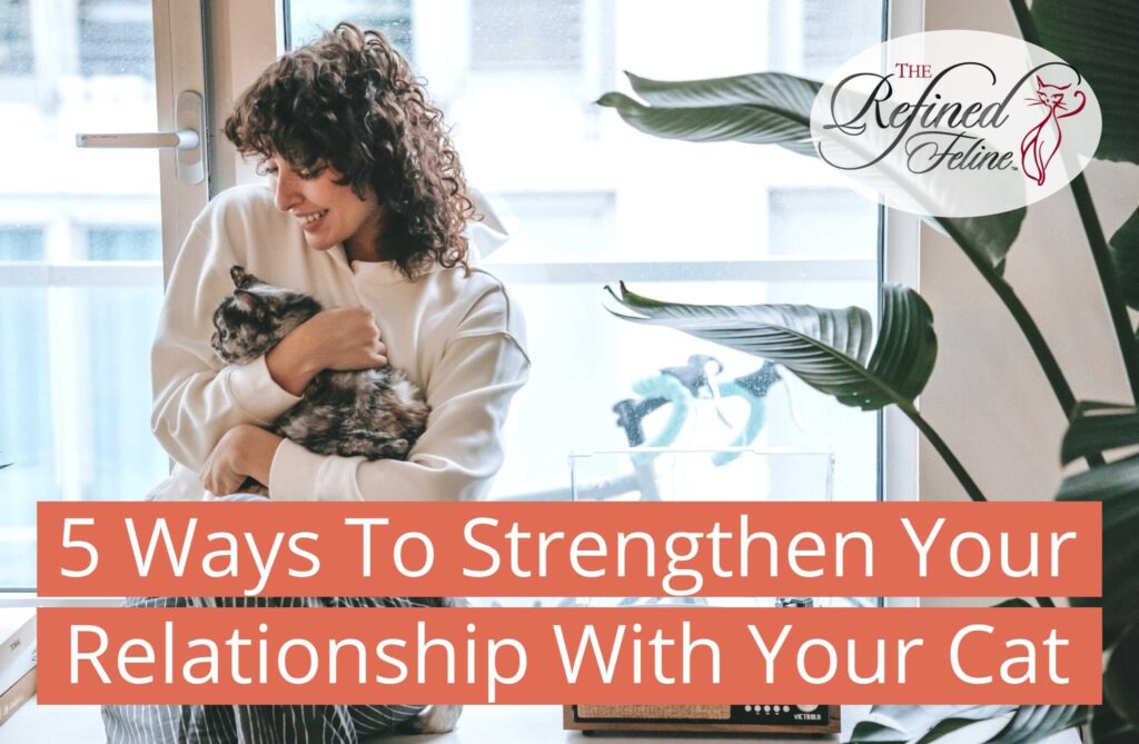 Strengthen Your Relationship With Your Cat