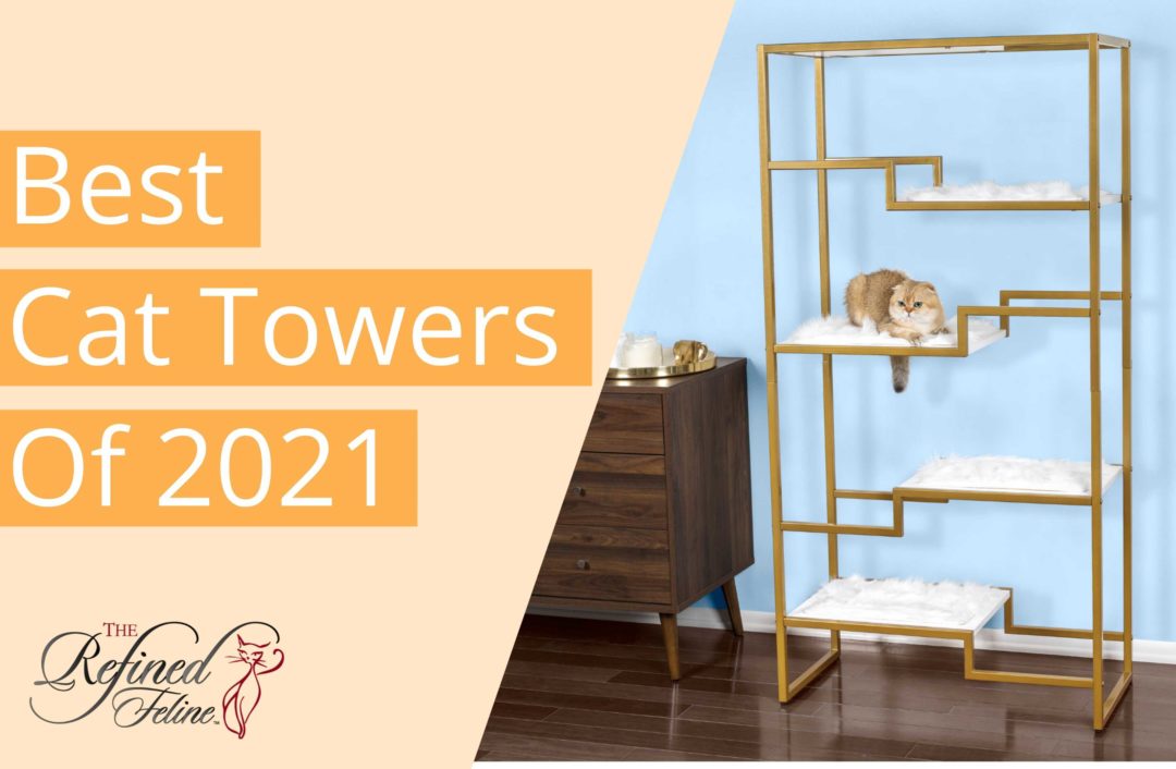 Best Cat Towers, Cat Trees, & Cat Condos of 2021 The Refined Feline