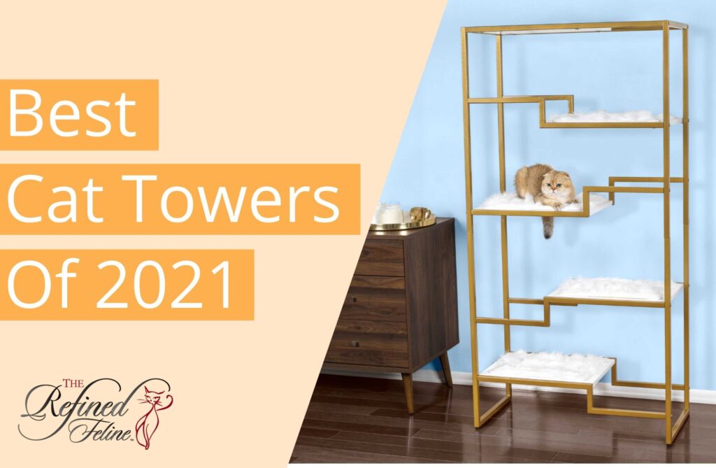 A white and gold Best Cat Towers stands next to a wooden cabinet; a cat lounges on its shelf. Text: Best Cat Towers.