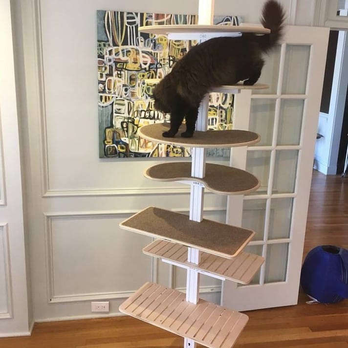 Best Diy Cat Tower