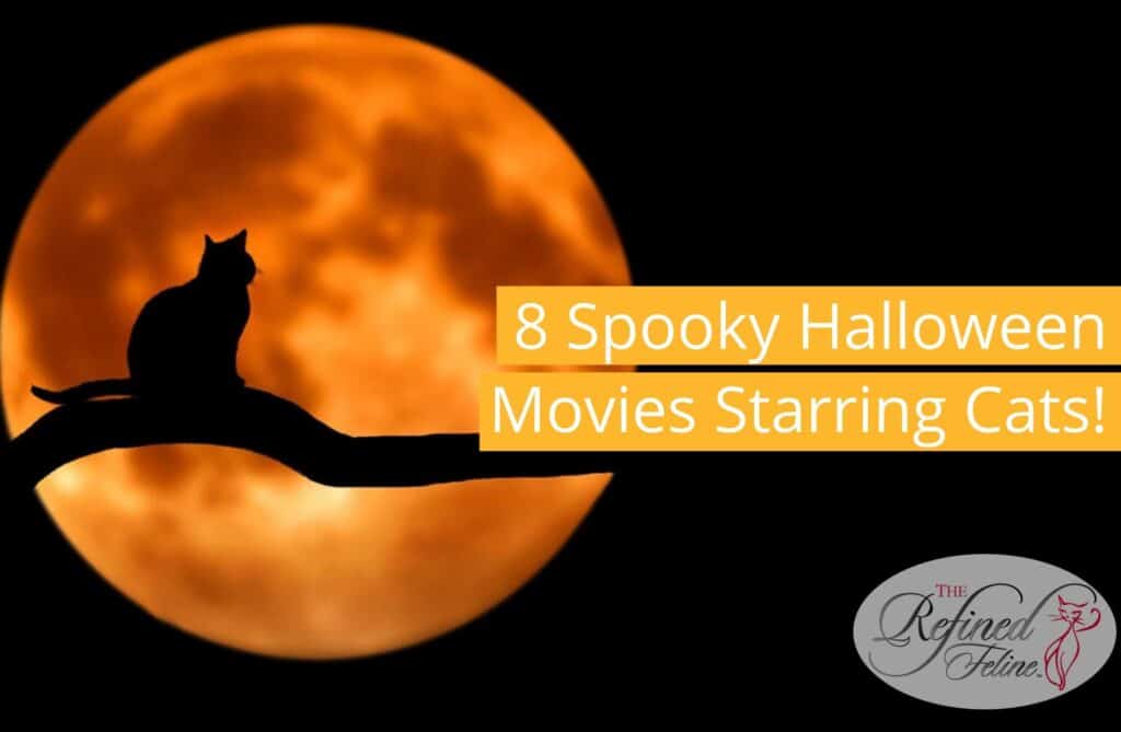 Silhouette of a cat on a tree branch in front of an orange full moon; text reads "Halloween Movies Starring Cats.