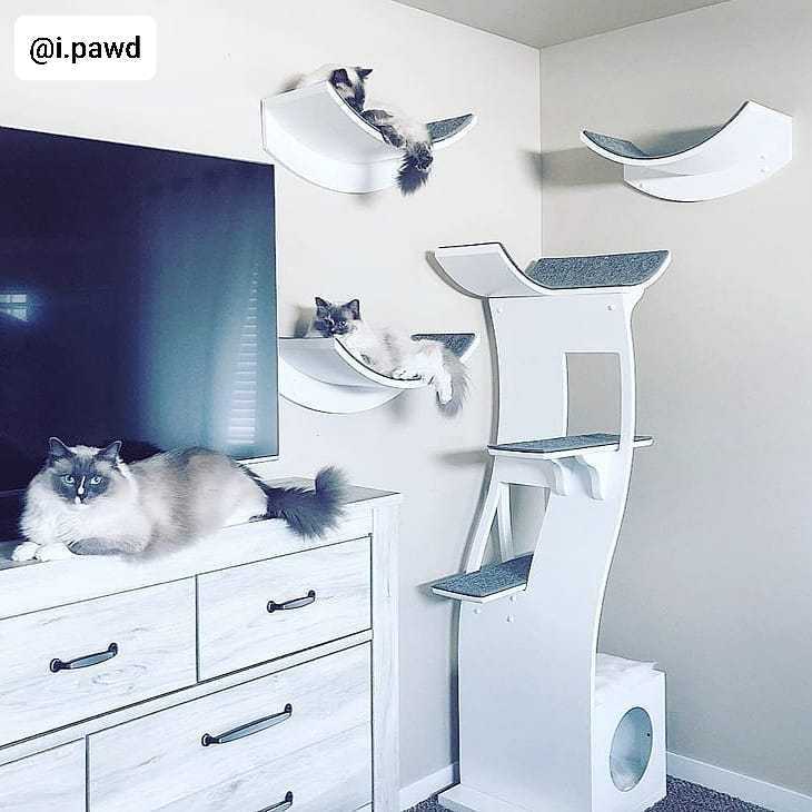 Modern Cat Furniture