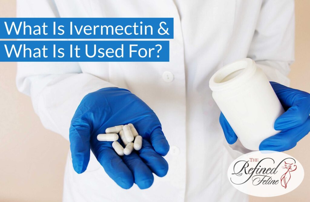 Person in lab coat and blue gloves holds white capsules and a bottle near “What Is Ivermectin” with usage text shown.