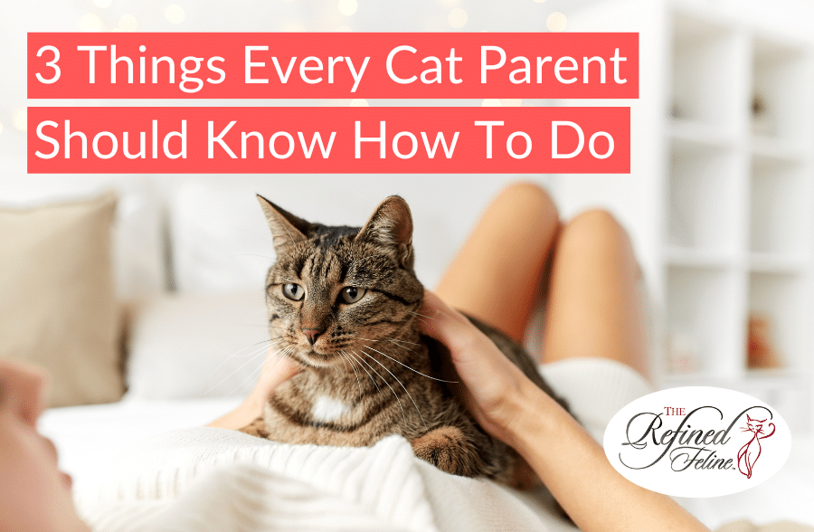 Person lying on a bed holding a tabby cat, text reads: 3 Things Cat Owners Should Know How To Do. The Refined Feline logo.