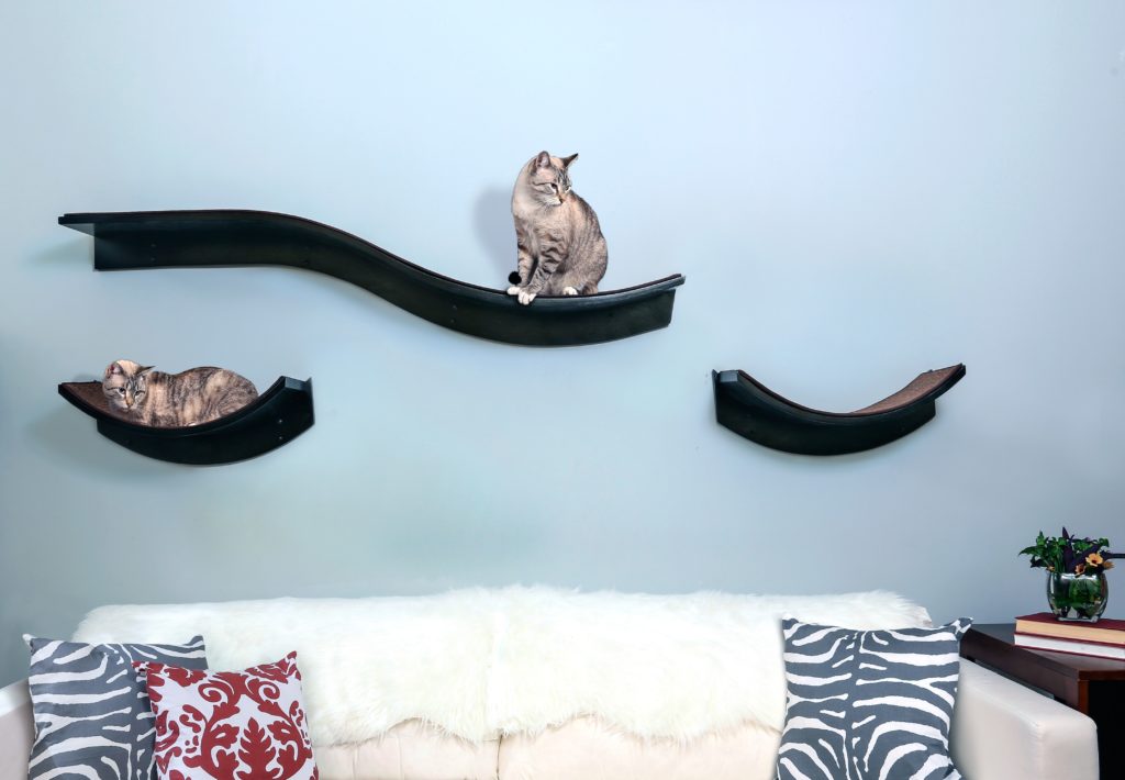 Cat Wall Shelves