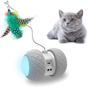 Automated Cat Toys