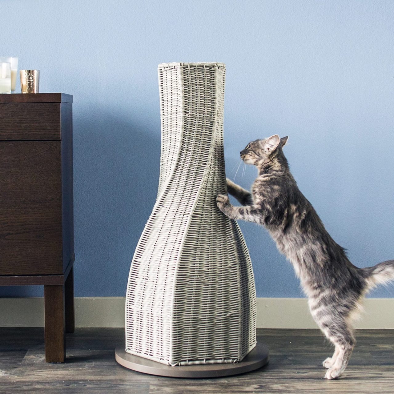 Modern Wall-Mounted Cat Shelves | The Refined Feline - Friendly Cat Wall Shelves With Enclosed Perches