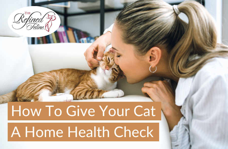 Woman kisses orange and white cat’s head. Text: Give Your Cat A Home Health Check. Refined Feline logo top left.