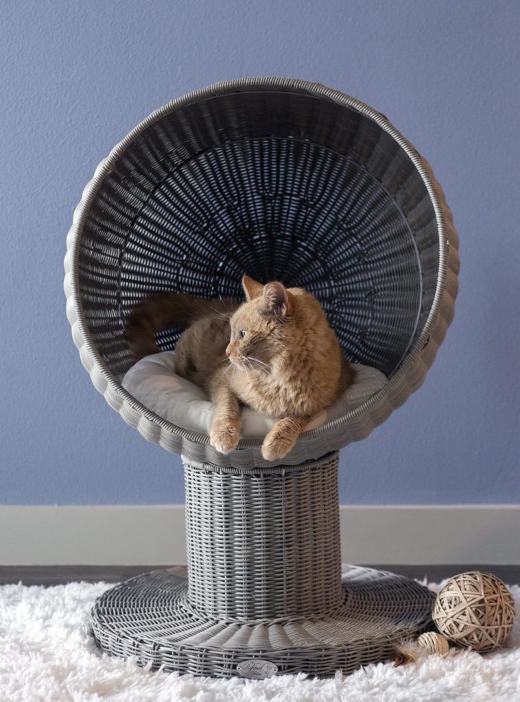 Kitty Ball Bed