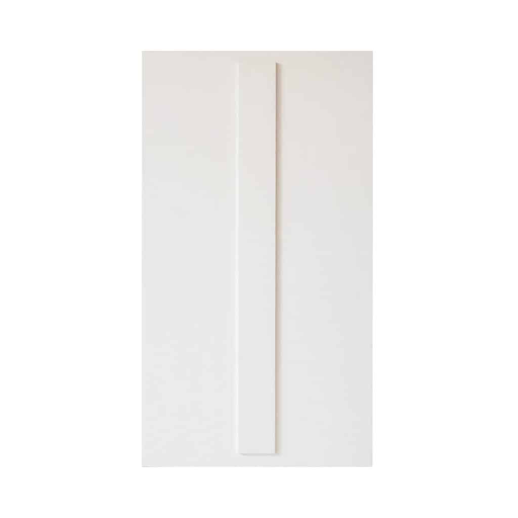 White rectangular cat litter box panel with a single off-center vertical raised strip, on a plain white background.