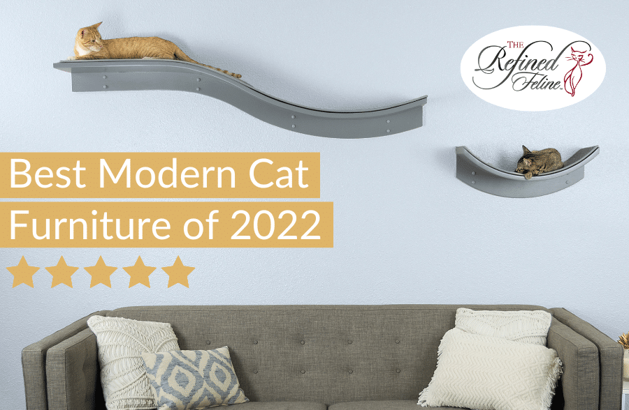 Two cats on curved wall shelves above a gray couch; text reads "Best Modern Cat Furniture," with five stars and a logo.