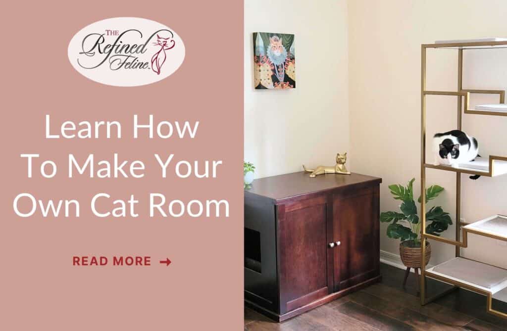 cat room