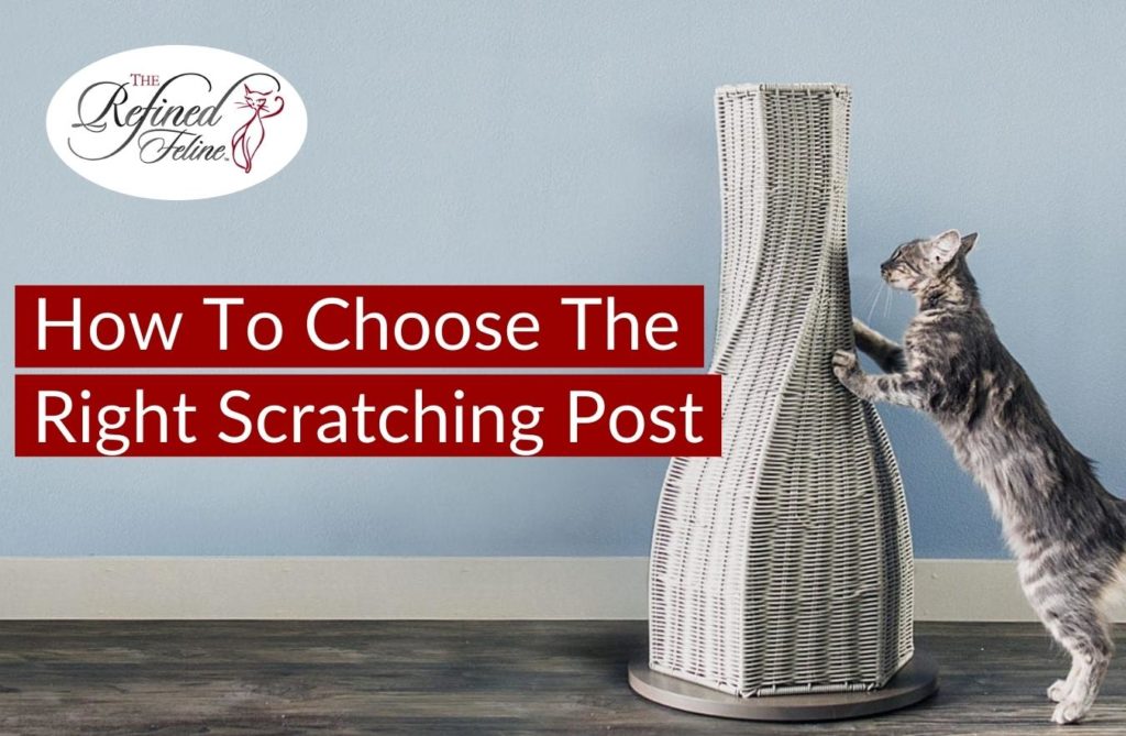 The refined feline scratching post hotsell