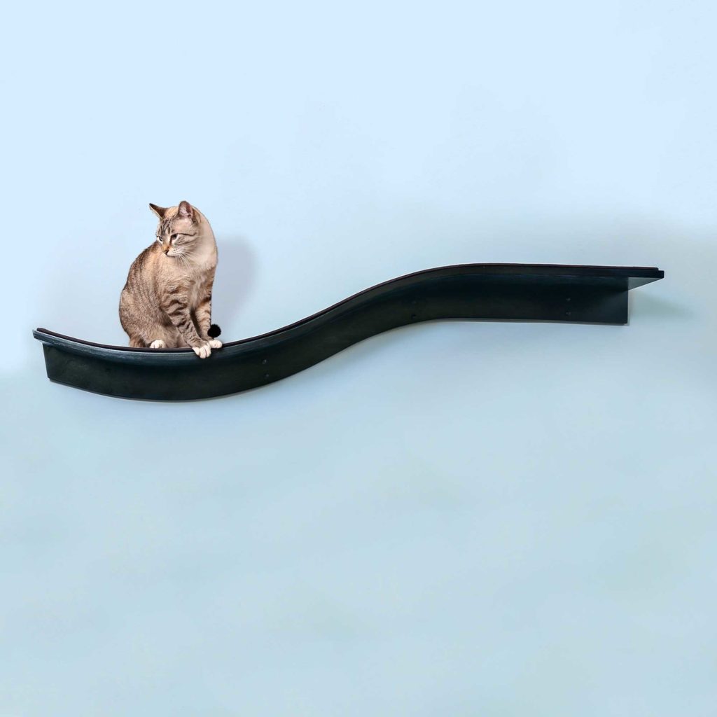 Cat perched on a dark espresso Lotus Branch Cat Shelf mounted to a light blue wall.