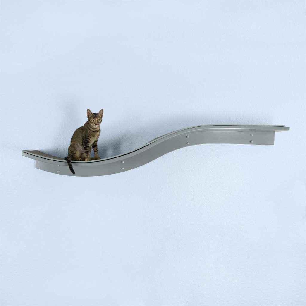 A cat sits on a right-facing, smoke gray Lotus Branch Cat Shelf with a wavy shape, mounted on a light blue wall.