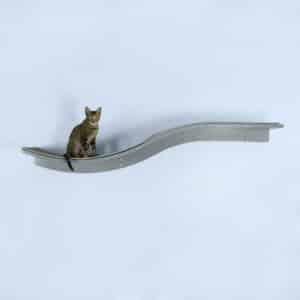 A cat sits on a right-facing, smoke gray Lotus Branch Cat Shelf with a wavy shape, mounted on a light blue wall.