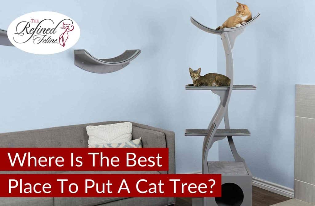 Modern living room with a cat tree holding two lounging cats, wall shelf, gray couch, and tip text on cat tree placement.