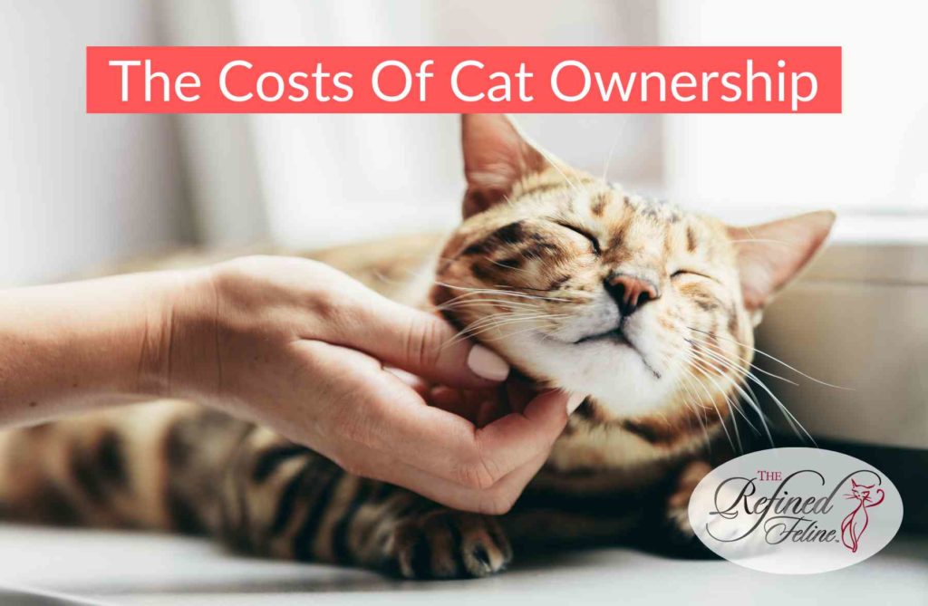 Person scratching a smiling tabby cat’s chin; text says "The Costs Of Cat Ownership." Refined Feline logo bottom right.