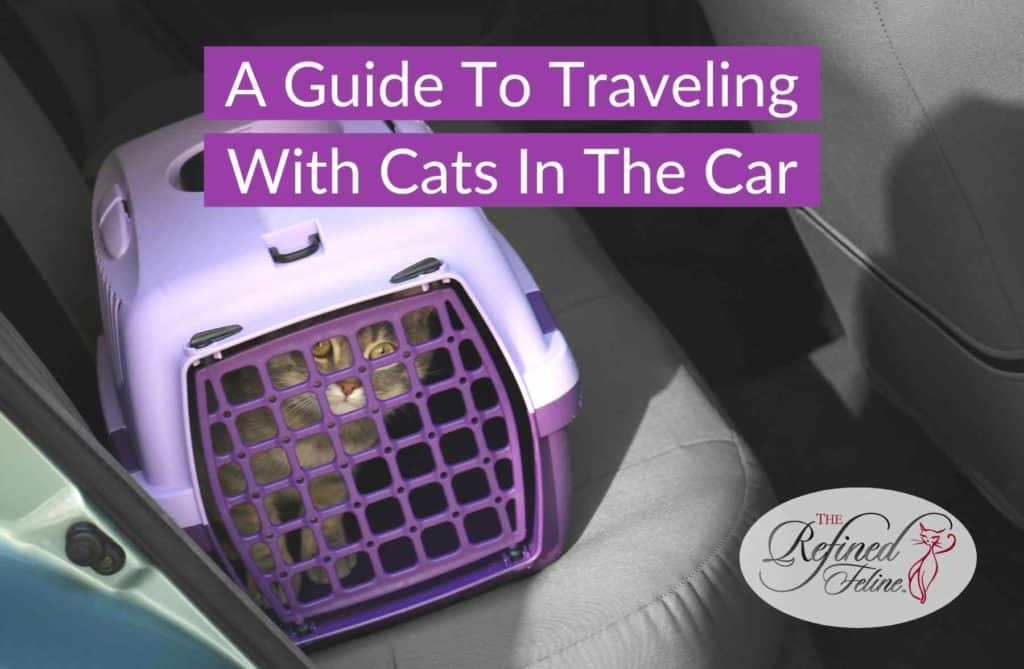 Cat in a purple carrier on a car seat, text reads “A Guide To Traveling With Cats In The Car,” Refined Feline logo in corner.
