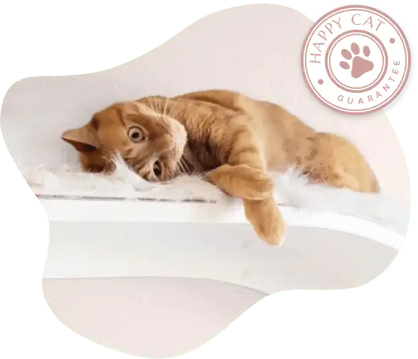 happy cat guarantee