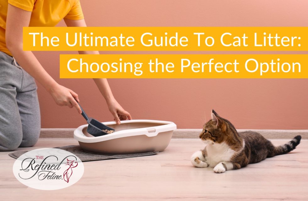 The Ultimate Guide to Cat Litter Choosing the Perfect Option for Your