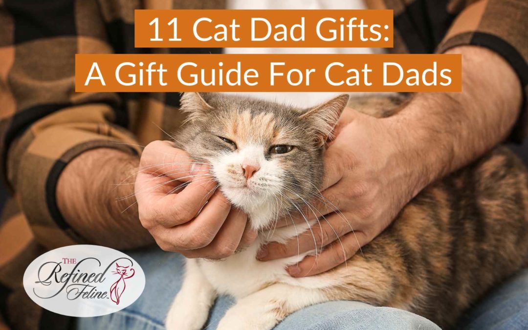 11 Cat Dad Gifts: A Gift Guide For Cat Dads - The Refined Feline