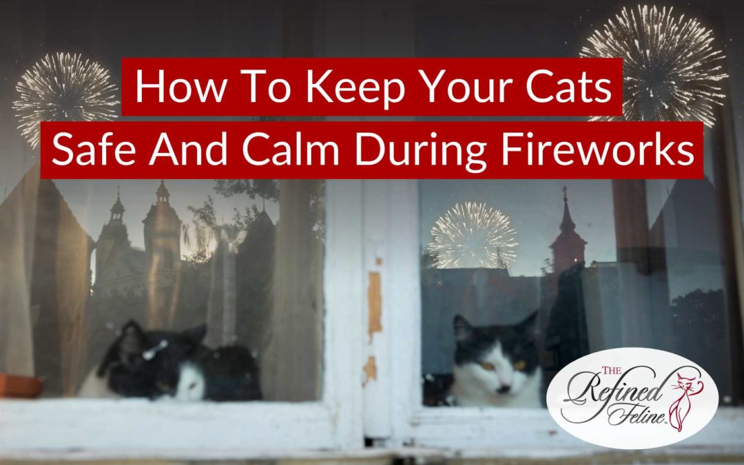 How To Keep Your Cats Safe And Calm During Fireworks
