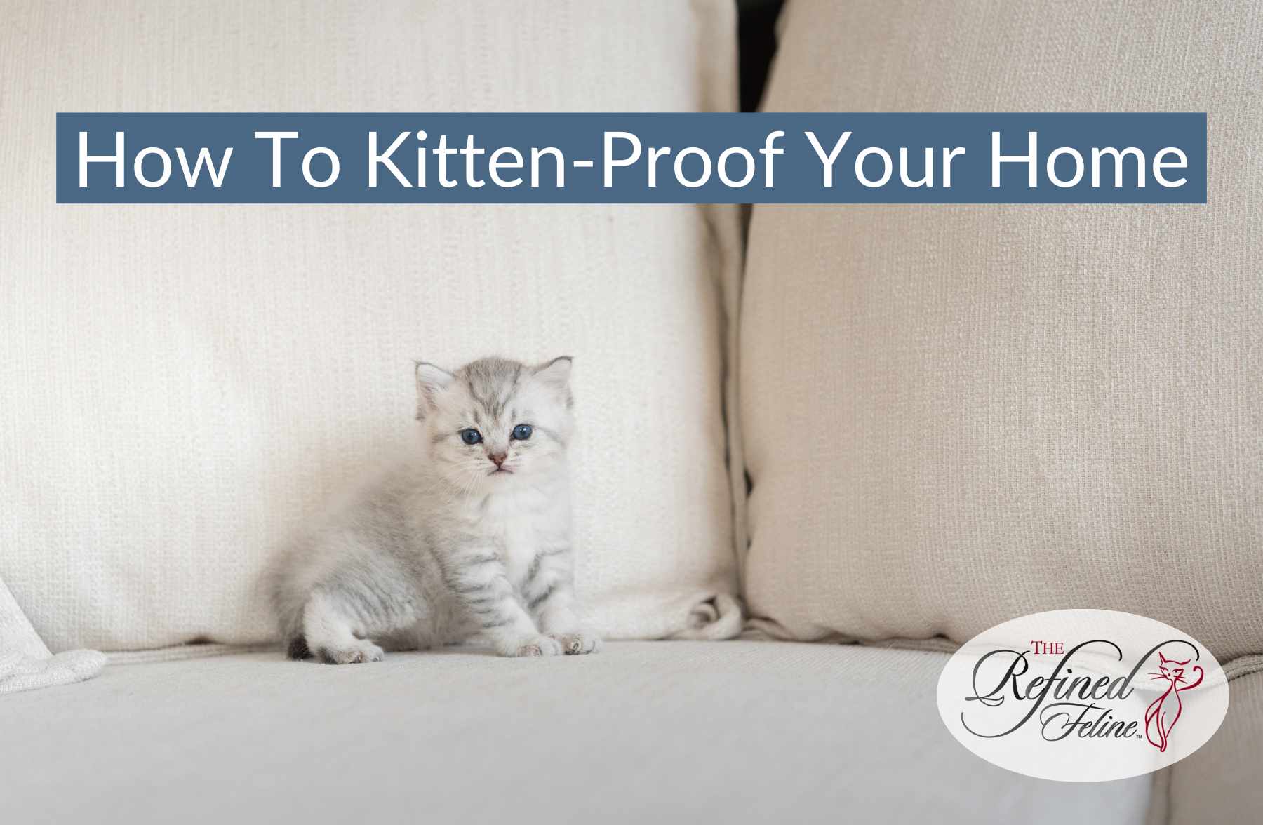How To KittenProof Your Home The Refined Feline