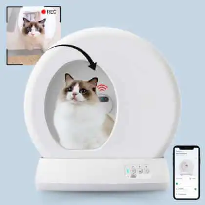 A fluffy cat sits in a UBPET self-cleaning litter box with a built-in camera; nearby, a smartphone displays the app interface.