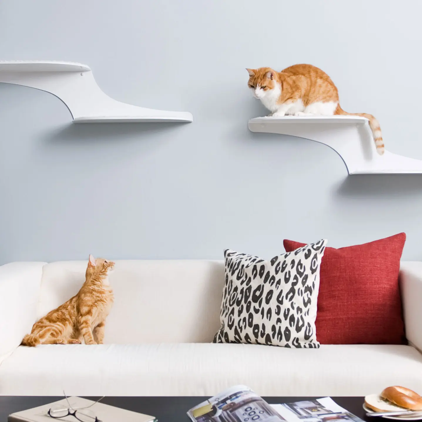 Cat Clouds Cat Shelf Steel Wall Mounted Cat Shelves The Refined Feline