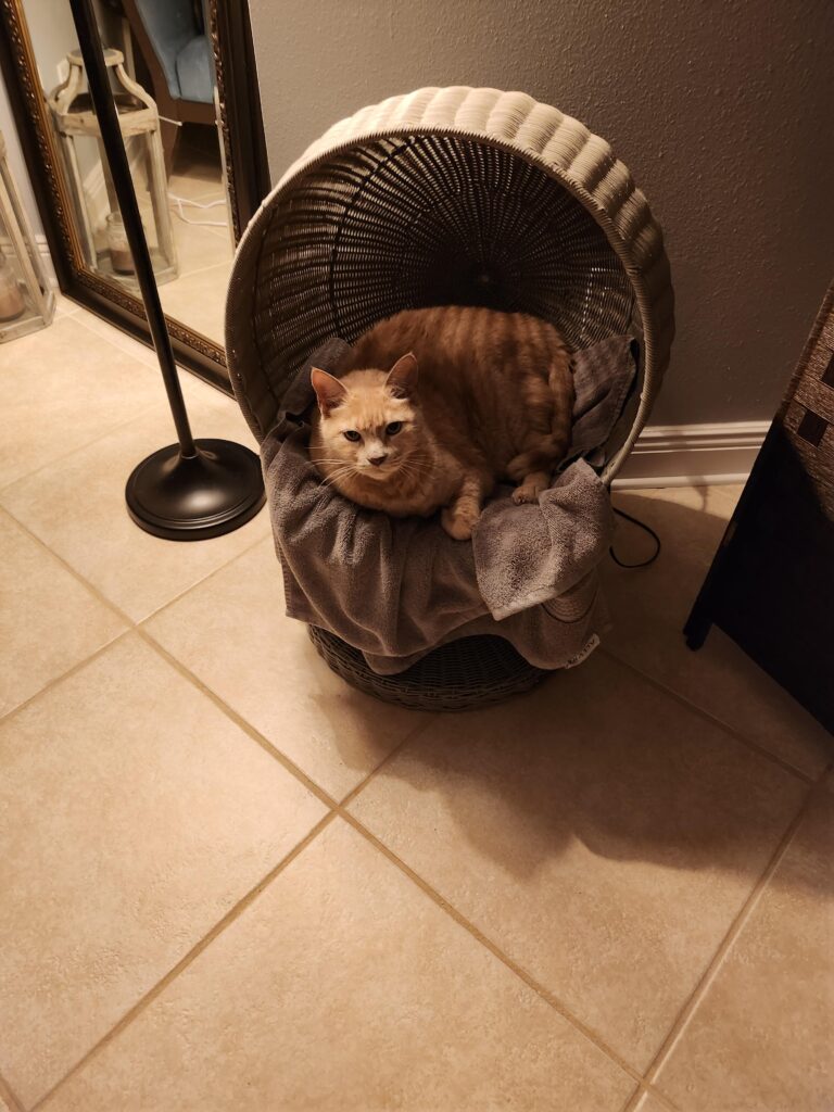 Image #1 from Fayla Breaux