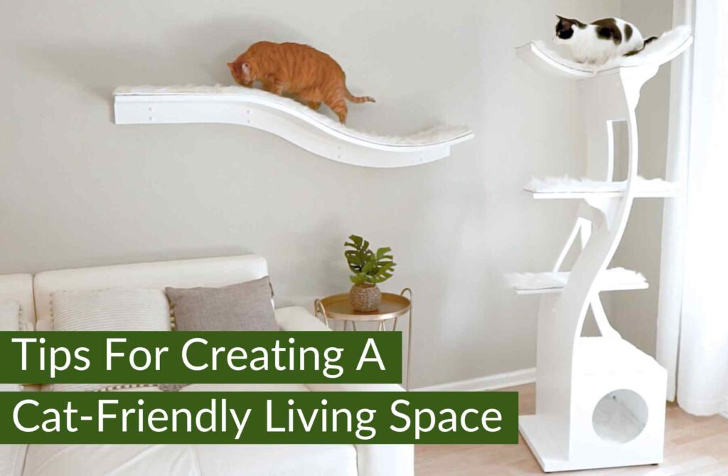 Two cats lounge on wall shelves and a cat tree in a cozy living room with white sofa, plants, and text: Tips for creating a cat-friendly home.