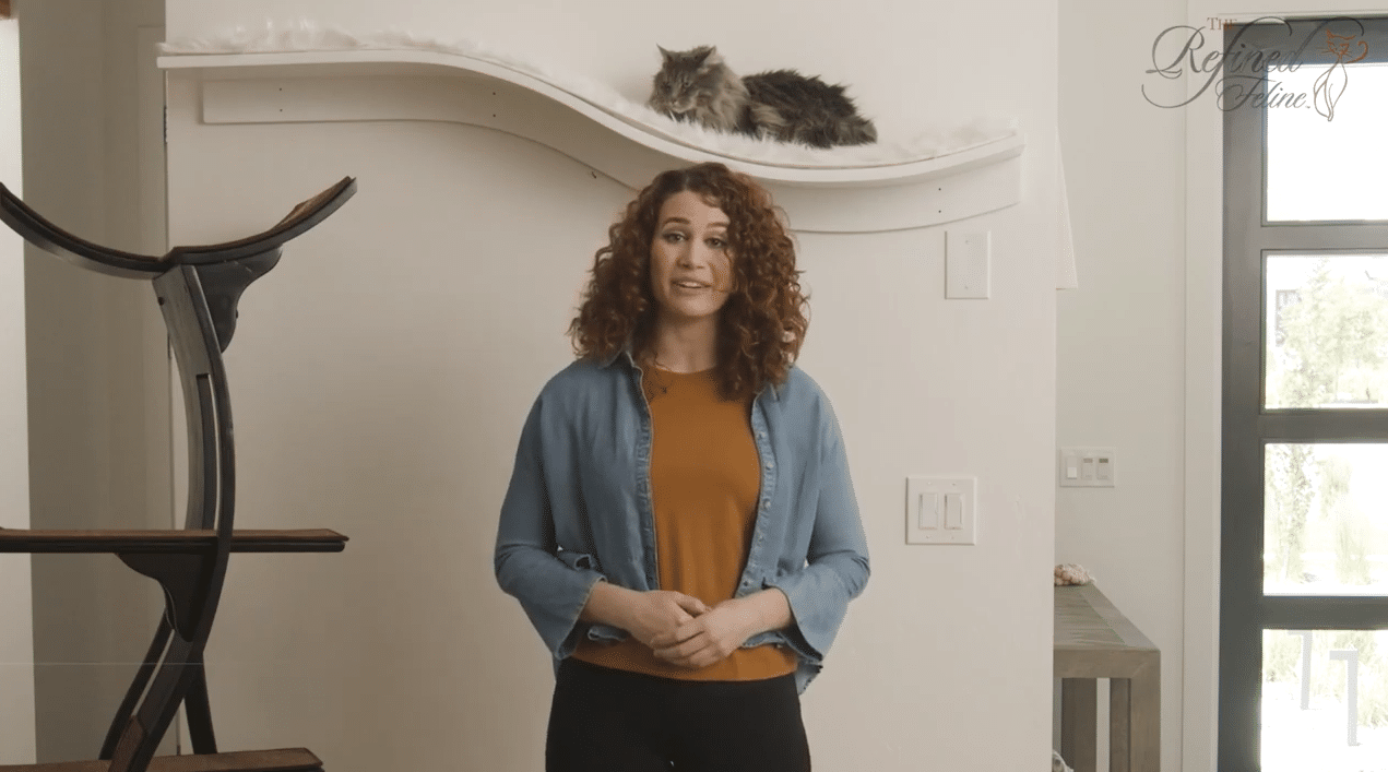 Luxury cat towers, cat trees, cat shelves, litter box cabinets